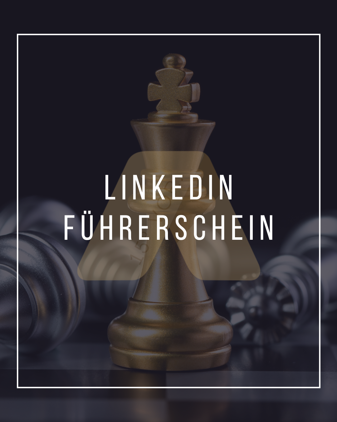 LinkedIn Führerschein